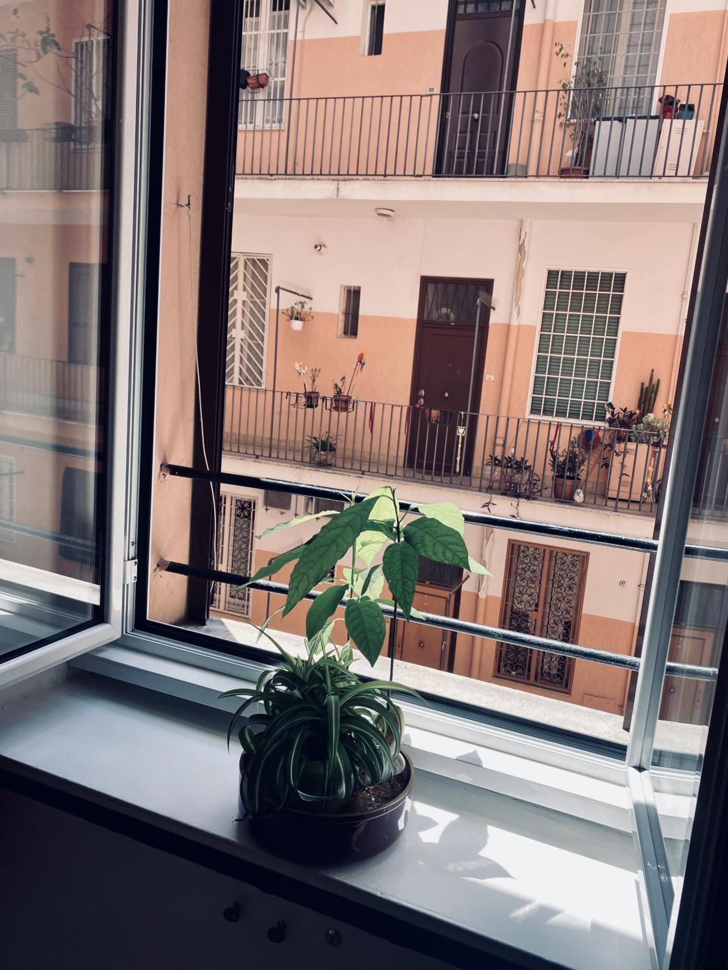 Porta Labicana House -10 Minutes From Termini Station *